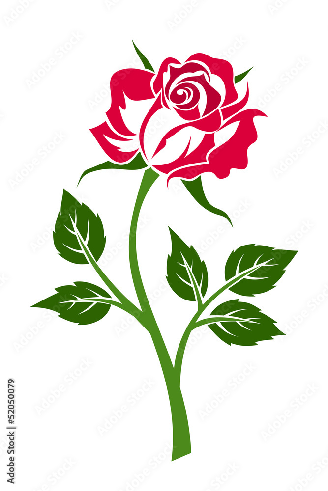 Obraz premium Red rose with stem. Vector illustration.