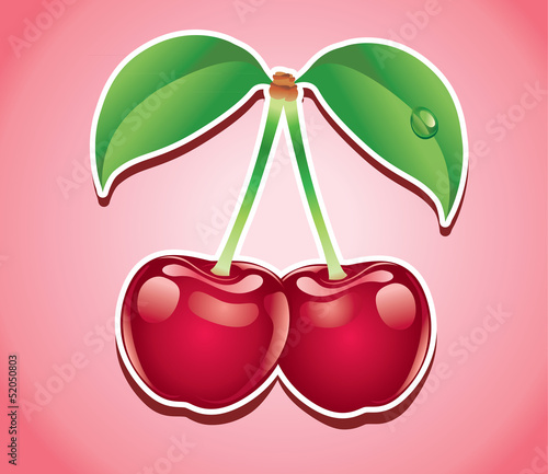 fresh cherry fruit