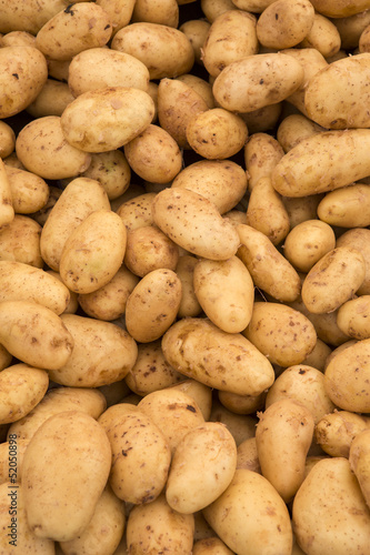 Macro view of fresh potatos