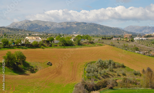 Ronda countryside, Andalusia, Spain