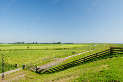 Dutch agrucultural landscape