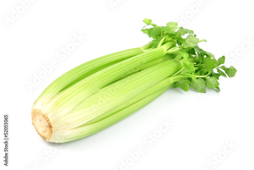 fresh celery