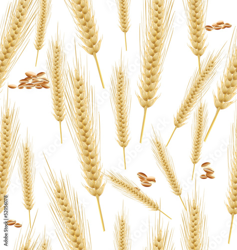 Wheat seamless background