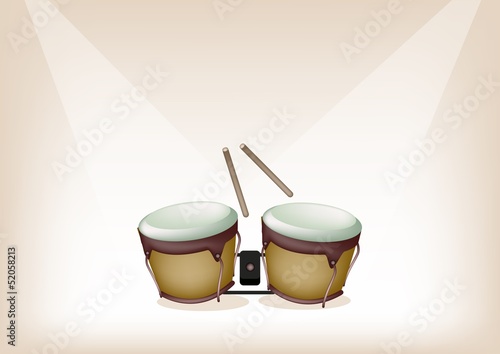 Beautiful Bongo on Brown Stage Background