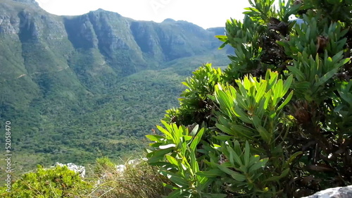 green grassy rocky hill, table mountain, south africa