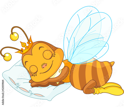 Sleeping bee