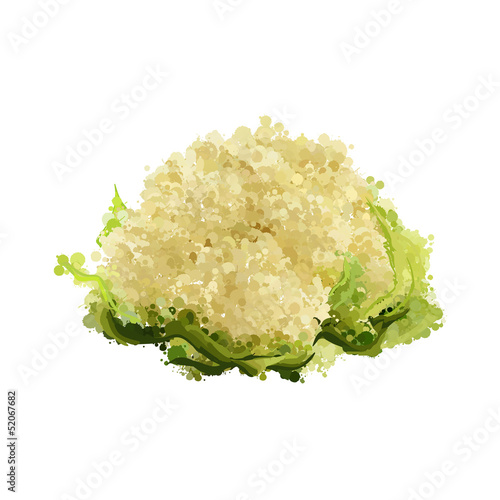 cauliflower of blots vector illustration