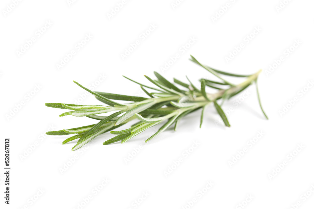 Rosemary