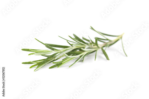 Rosemary