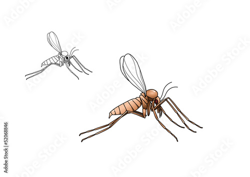 Sand fly