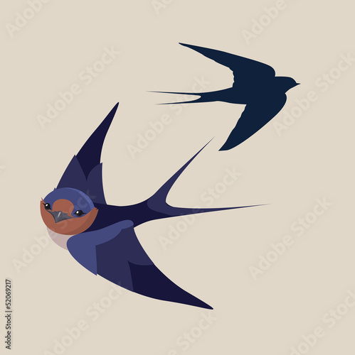 little swallow bird vector illustration