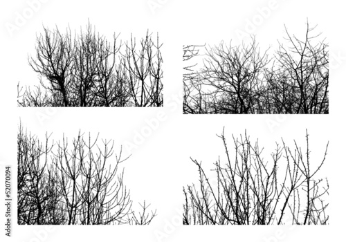Black silhouettes of trees isolated on white. Set 2.