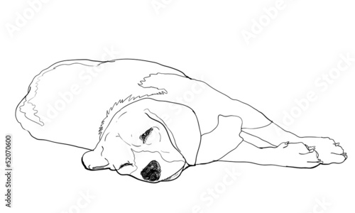 Beagle is laying down and almost fallen asleep.