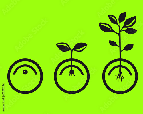 germinate seeds