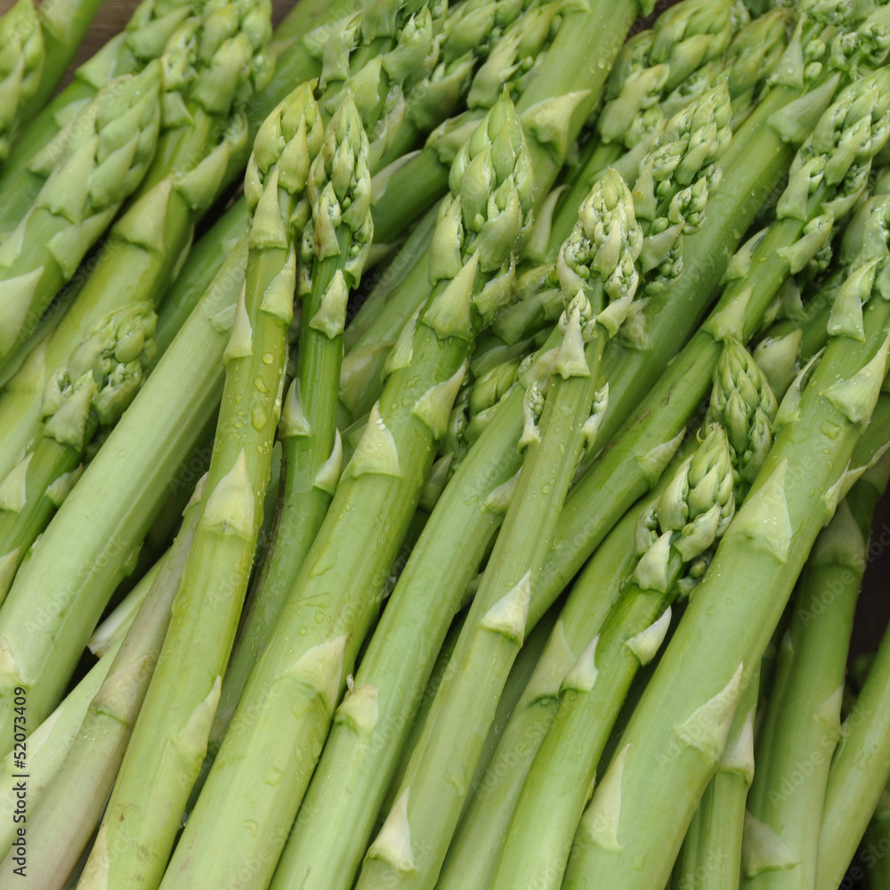 Obraz premium grüner Spargel