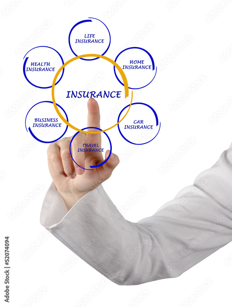 Woman presenting insurance diagram Woman presenting insurance diagram