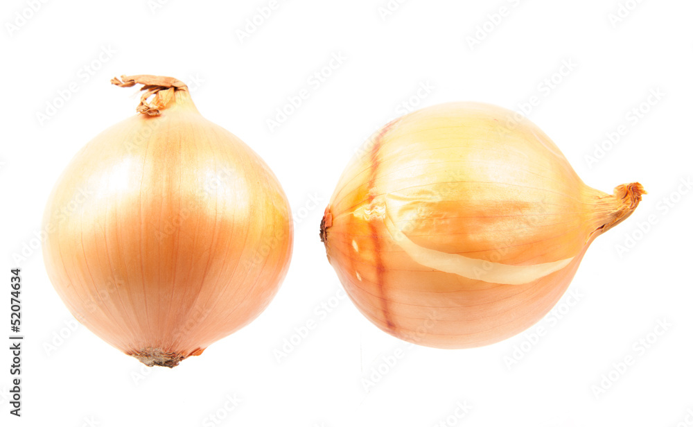 Fototapeta premium onions isolated on white background