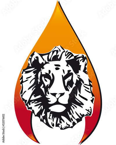 Fototapeta Naklejka Na Ścianę i Meble -  Lion