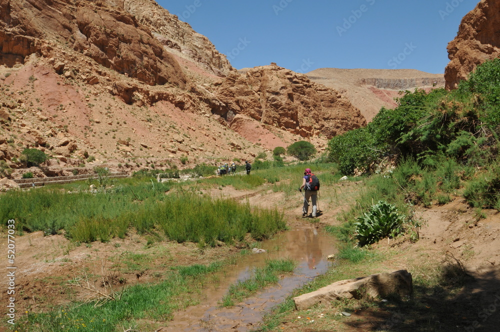 vallée des Roses Haut Atlas Maroc pays Berbère vallée des Roses Haut Atlas Maroc pays Berbère
