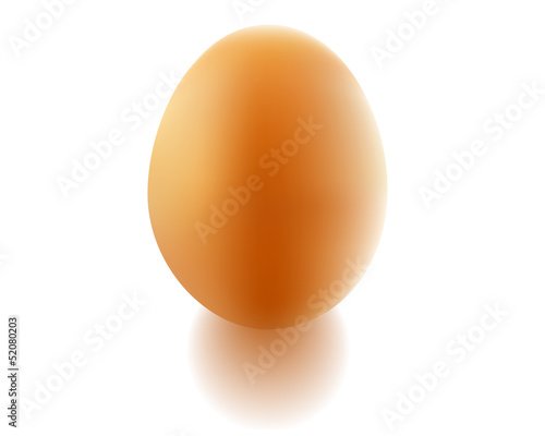 chicken egg