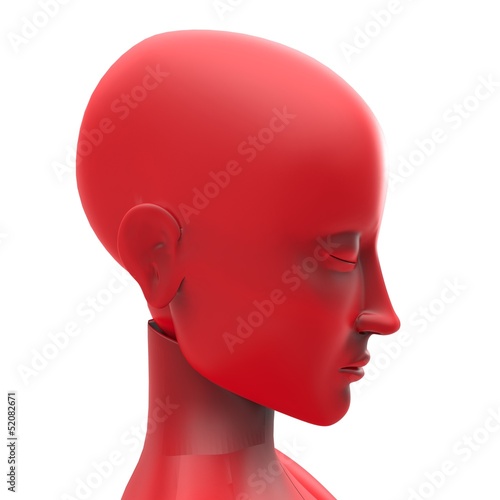 Female Mannequin Isolated On white background