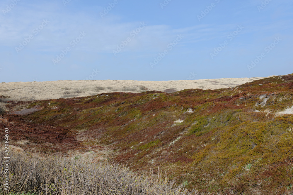 Dünenlandschaft