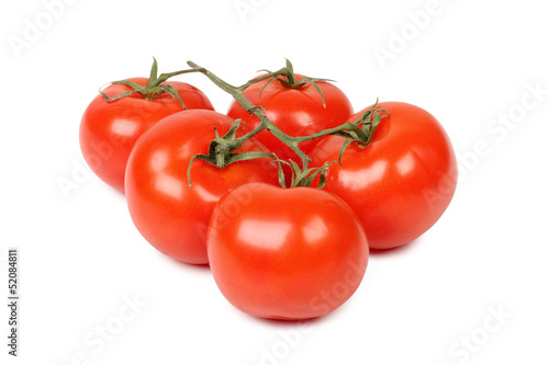 Tomatoes on branch