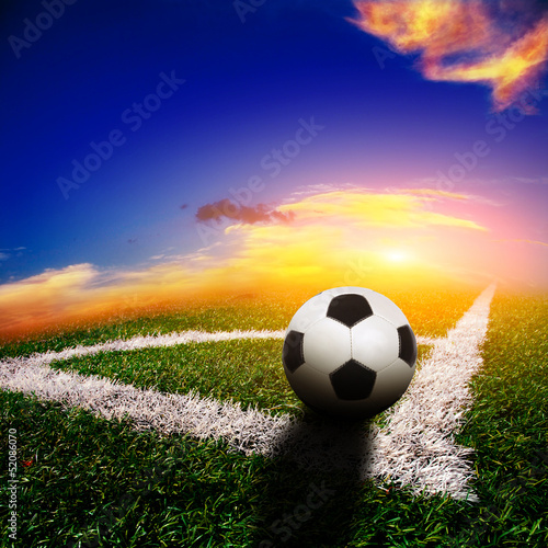 soccer ball on the field © Dmitry Perov