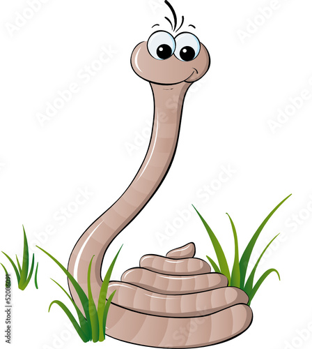 Regenwurm im Gras