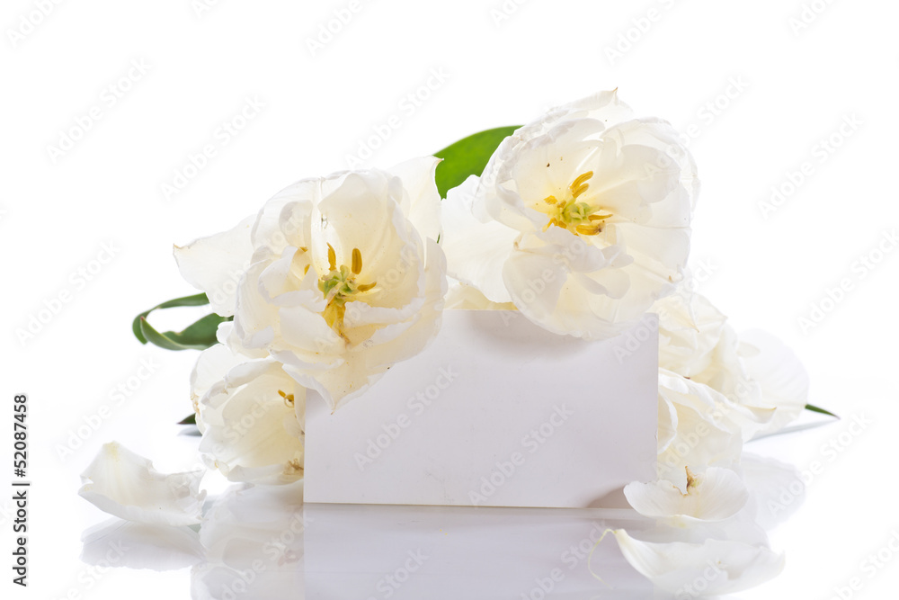 white tulips with a blank white tulips with a blank