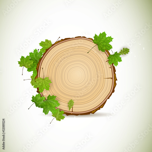 Vector Illustration of a Wooden Board with Leaves