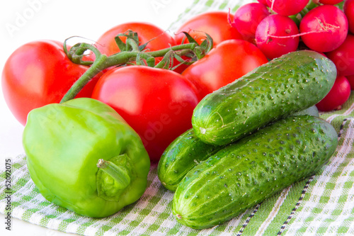 Young vegetables of a new crop: a branch of tomatoes, cucumbers,