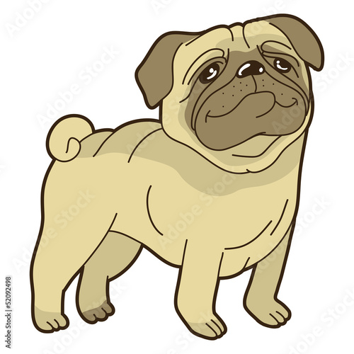 Vector funny cartoon pug