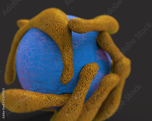 Nanofibras Células photo