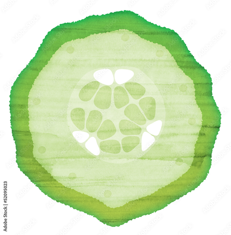 水彩風 きゅうりの断面 Stock イラスト Adobe Stock