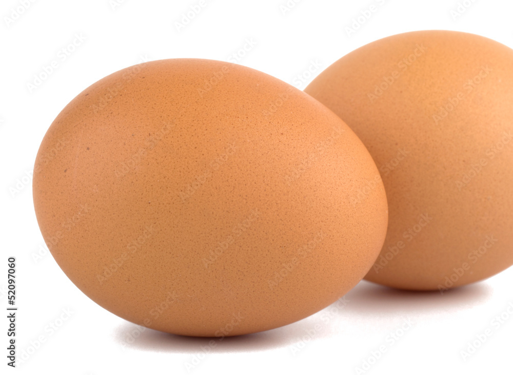 Egg closeup isolated on white background Egg closeup isolated on white background