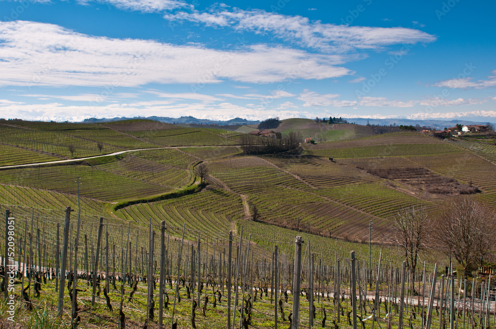 Fototapeta premium Valley_1