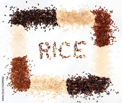 Rice collection isolated on white background