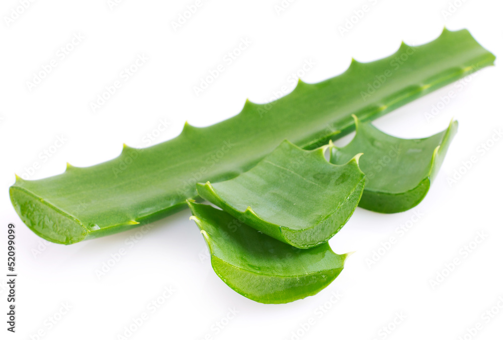 Aloe vera Aloe vera