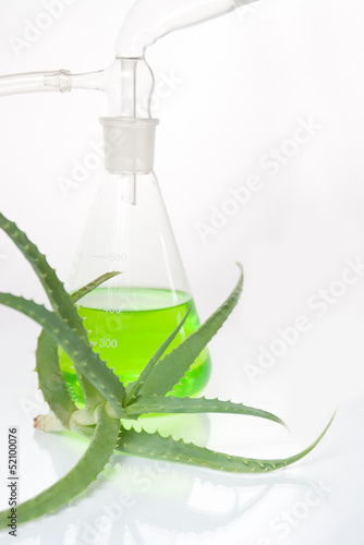 Extract of plants. Natural chemistry. photo