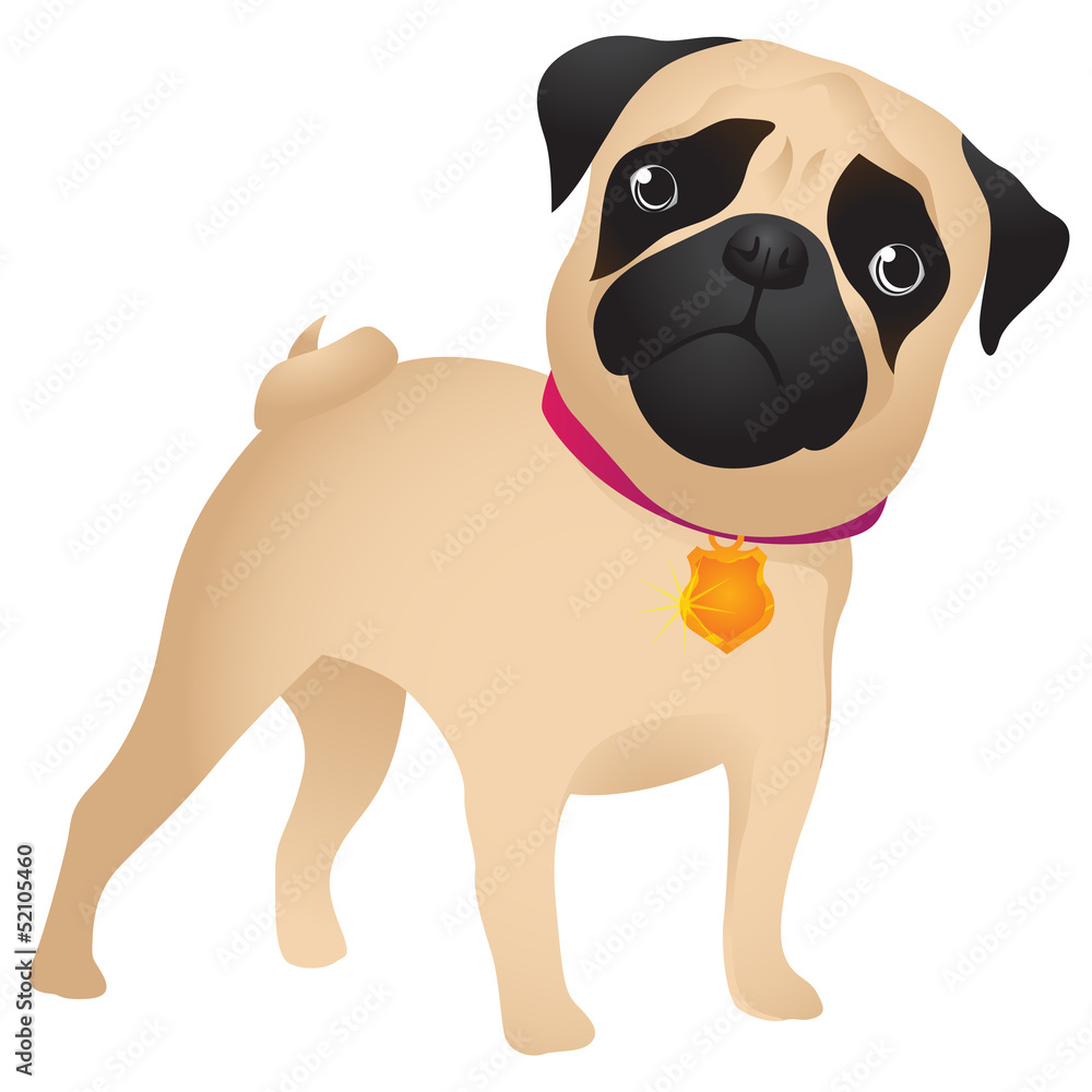 Obraz premium Pug-dog