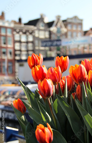 Amsterdam in tulips