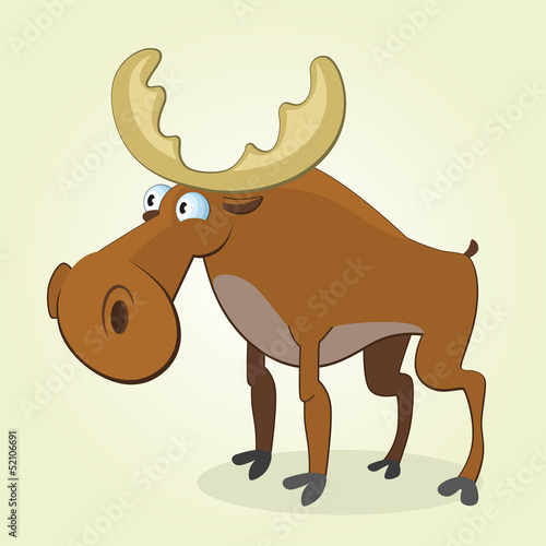 Moose