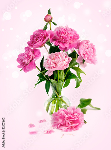 pink peony in glass vase