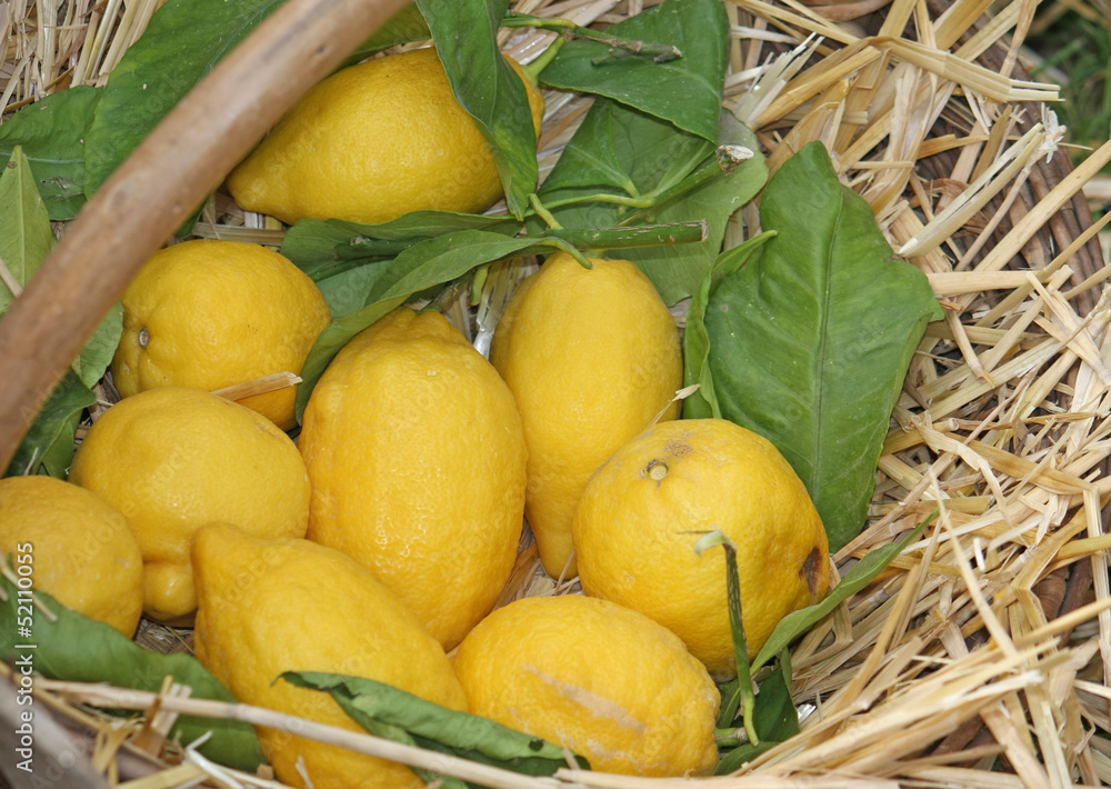juicy yellow lemons on sale in a wicker basket