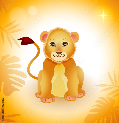 Lion Baby