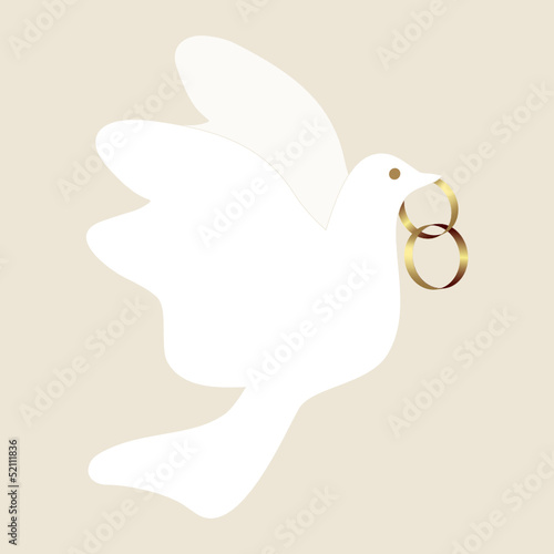 ehering, taube, heirat, heiraten, ehe, gold,  friedenstaube,    