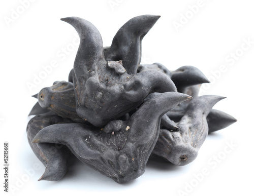 Horn shaped water caltrop