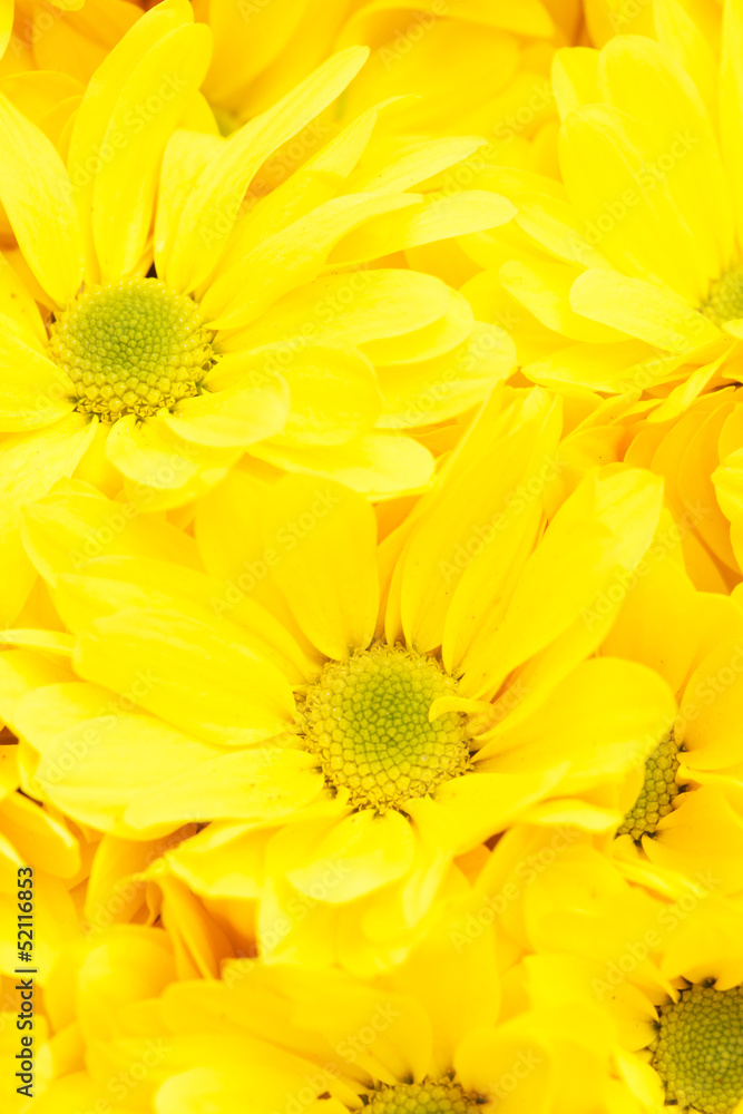 nature background nature background