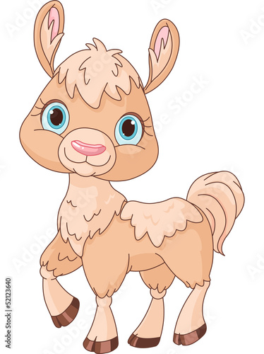 Llama